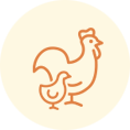 icon-2