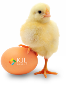Chick-Alone